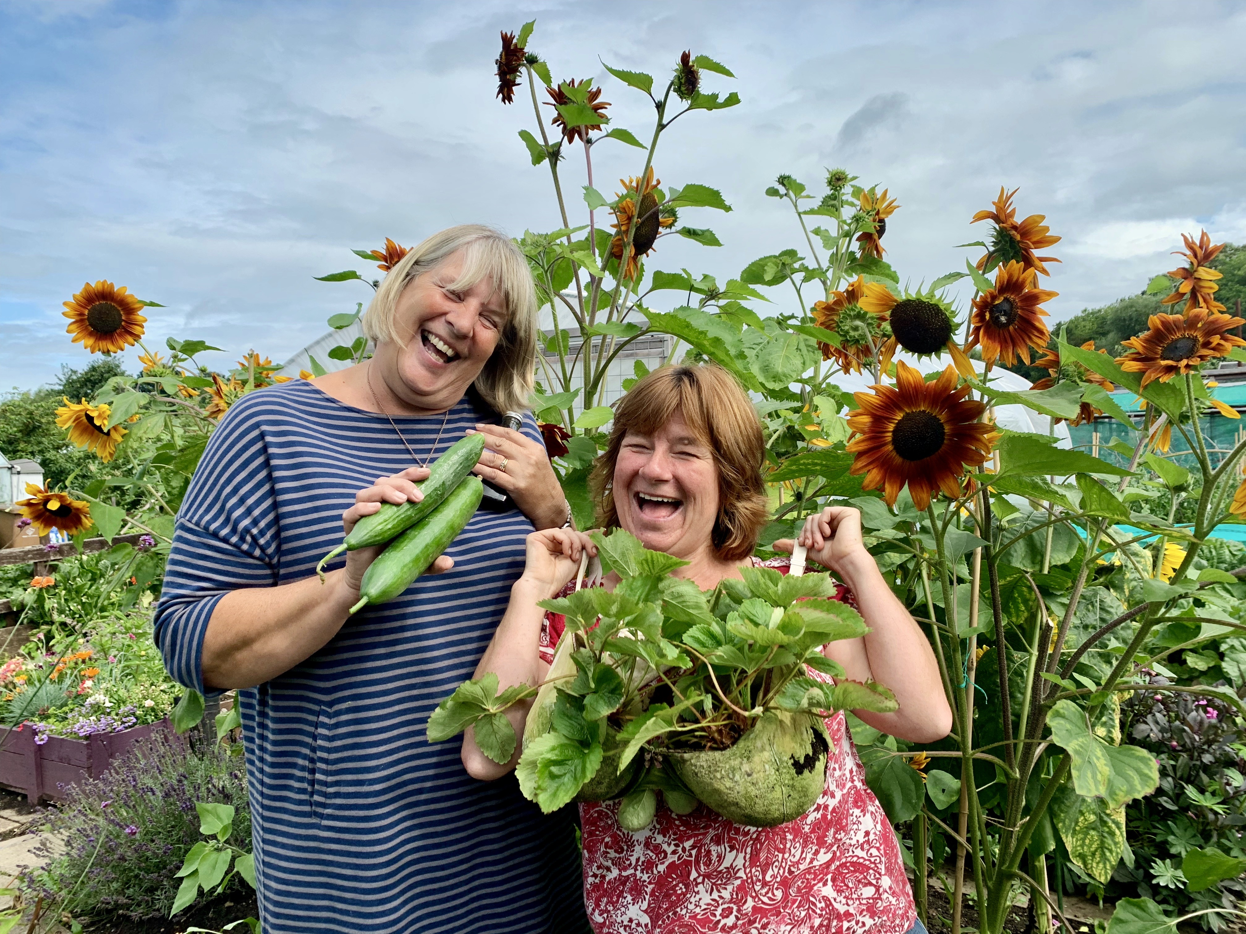 The Potty Plotters having fun with cucumbers and bras